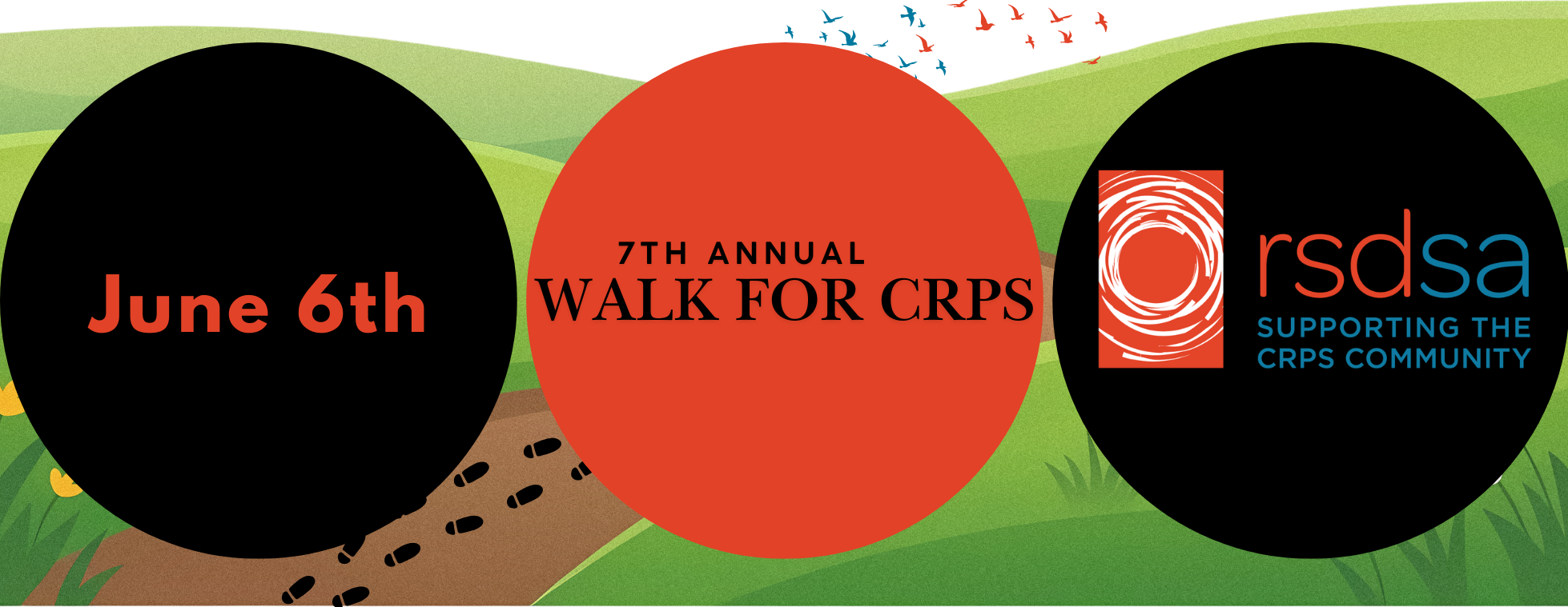 RSDSA's 7th Annual Walk for CRPS